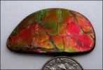 AMMOLITE DESIGNER CABOCHON (Canada) – 20.79 ct. Freeform 